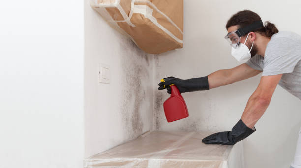 Professional Crawl Space Mold Remediation technician working in Elkton, VA