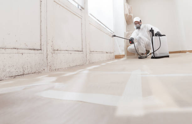 24/7 Emergency Crawl Space Mold Remediation experts in Elkton, VA